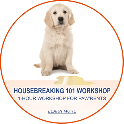 Class Names in Circles5__Housebreaking 101