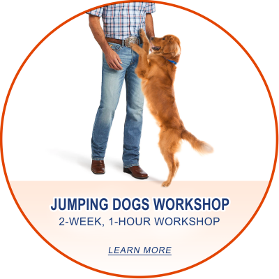 Class Names in Circles5__Jumping Dog Workshop__Small