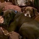 0213__March-2021__Allie-and-Gibbi-Gibson-150x150-1