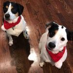 0219__Gracie-and-Hazel-September-2021__-150x150-1