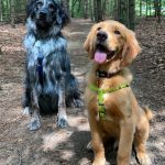 0225__Archie-and-Theodore-Payton__March-2022-150x150-1
