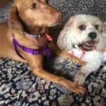 0228__Ella-and-Grace-150x150-1
