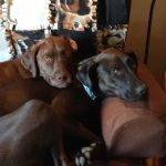 057___May-2015__Allie-and-Gibbi_____________-150x150-1