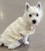142__Sonia-Loeb__West-Highland-Terrier