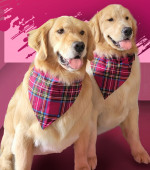 Bailey-and-Tucker-Panczyk__February-BOM