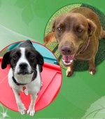 Jada-and-Ruby__august-2025__smaller