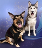 Luna-and-Zola__April-2025