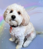 Sadie-Love__April-2025