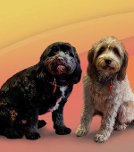 Sparty__February-2026-copy-Copy