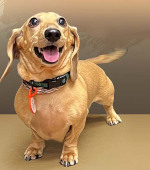 Sparty__January-2026