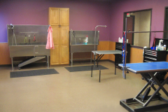 Grooming-Room