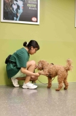 Bark-A-Bout-Rewards-Based-Dog-Training__Small