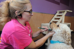 Dennie-and-Murphy-brushing-teeth