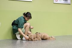 IMG_3286-scaled