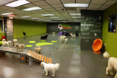 Tiny-town-with-dogs_3