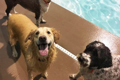 Rylee-Maggie-and-Morgan