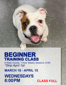 beginner dog training in shelby township